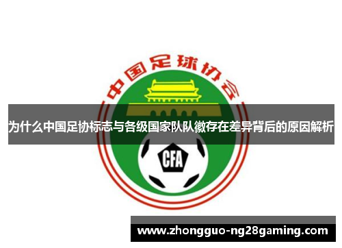 为什么中国足协标志与各级国家队队徽存在差异背后的原因解析