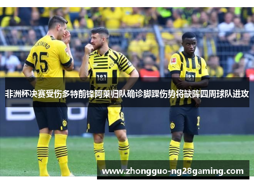 非洲杯决赛受伤多特前锋阿莱归队确诊脚踝伤势将缺阵四周球队进攻 非洲杯决赛受伤多特前锋阿莱归队确诊脚踝伤势将缺阵四周球队进攻